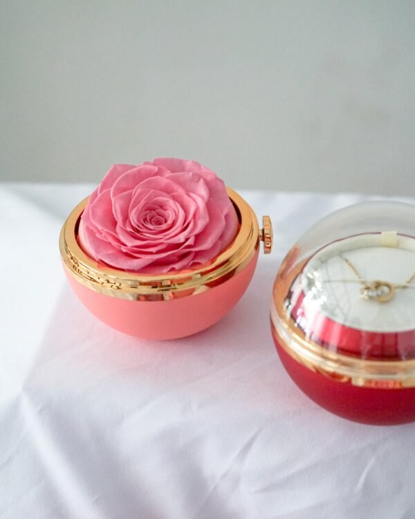 Preserved Jewelry Box - Image 2