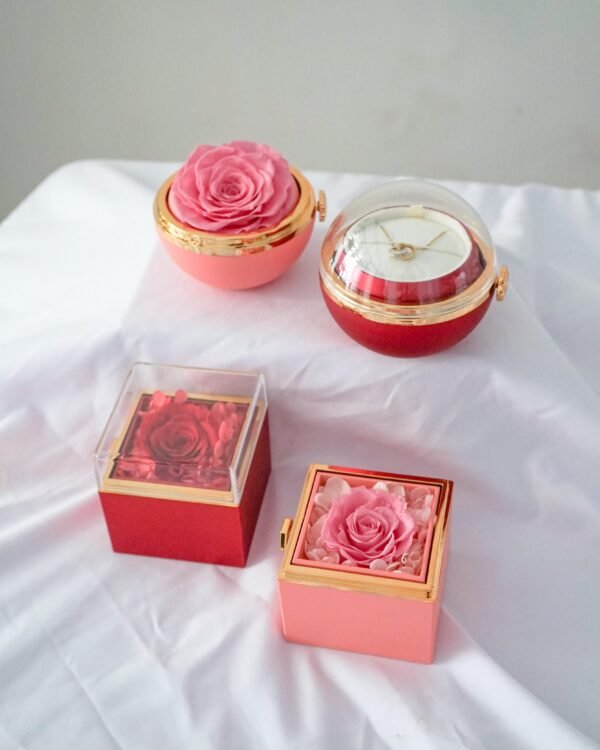 Preserved Jewelry Box