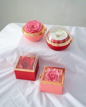 Preserved Jewelry Box