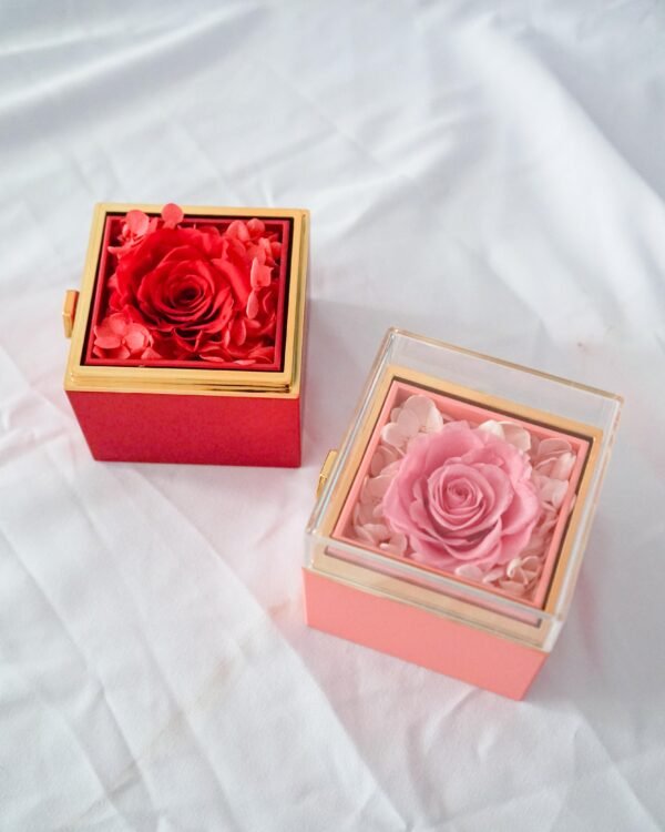 Preserved Jewelry Box - Image 3