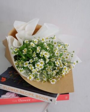 Small Daisy Bouquet