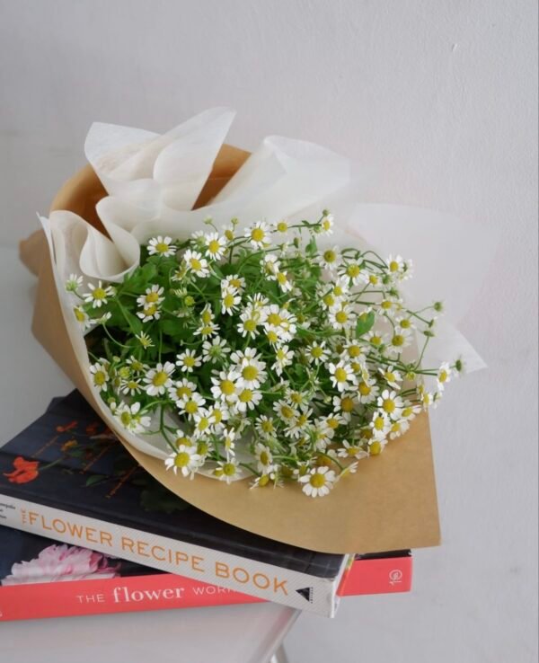 Small Daisy Bouquet