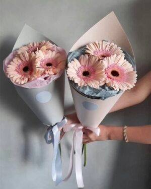 Triplet Gerbera