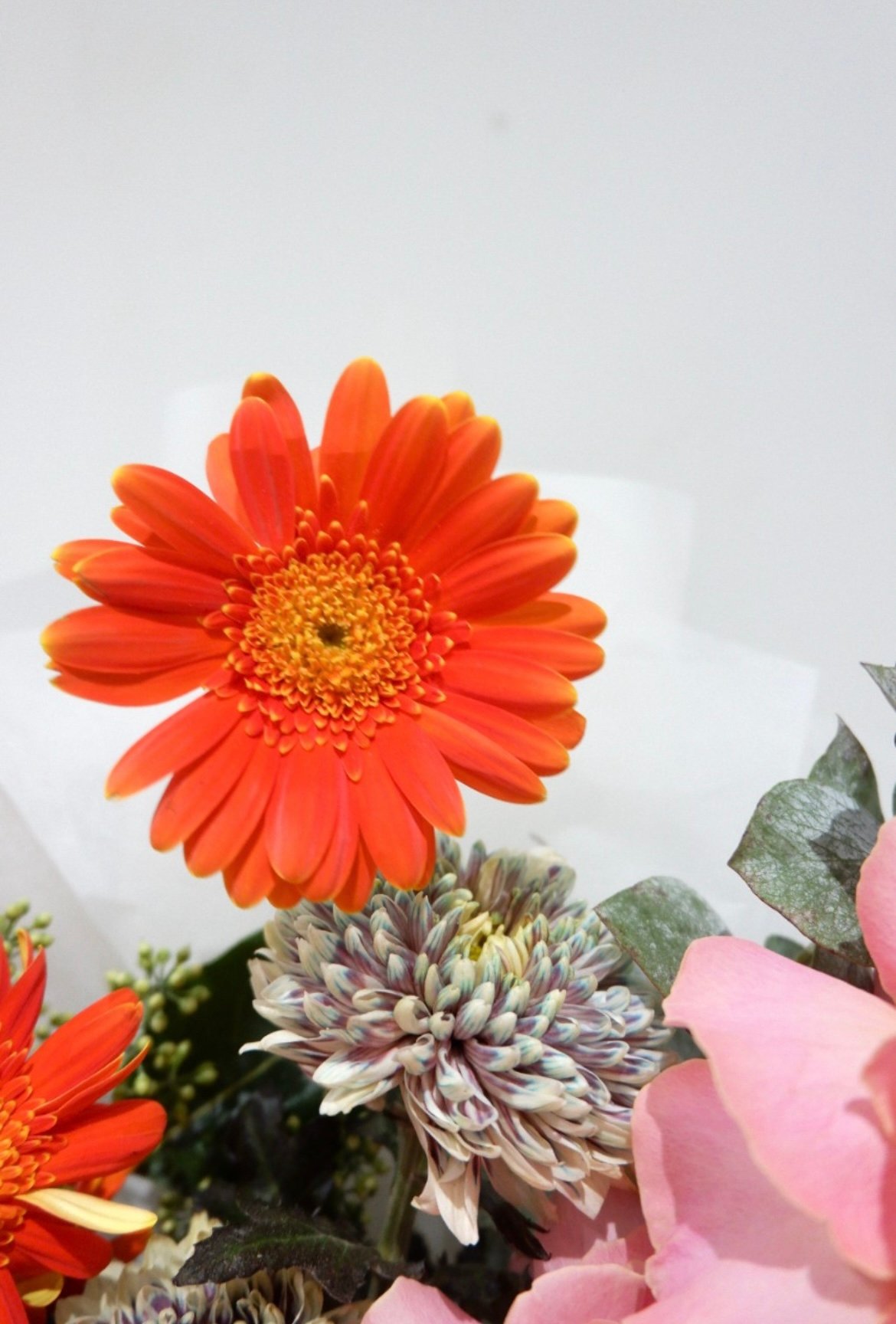 Rainbow Bouquet - Image 3