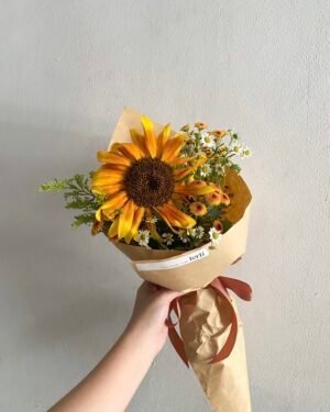 Single Sunflower